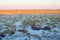 Ship cemetery, Aral Sea, Uzbekistan