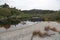 Ship Creek beach on West Coast New Zealand