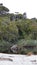 Ship Creek green lagoon on West Coast New Zealand