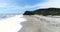 Ship Creek and Kahikatea swamp forest, Haast Highway, South Island, New Zealand.