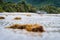 Ship on tropical beach during low tide. Mahe, Seychelles sand lagoon coastline view with palm trees and jungle in