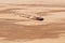 Ship wreck of Eduard Bohlen on Namibia`s Skeleton Coast