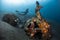 Ship wreck with free diver