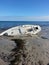 Ship wrecked Shipwreck