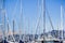 Ships moored in a marina, Sausalito, California