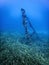 Shipwreck in the Blue Water, Rusty Shipwreck with Growing Corals