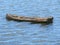 shipwreck boat sunken danger sad sorrow old abandoned