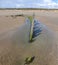 Shipwreck on the Cefn Sands beach at Pembrey Country Park in Carmarthenshire South Wales