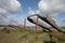 Shipwreck on the coastline of the Purton Ships` Graveyard - Ship Abbey