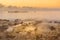 Shipwreck of the Gamma on the Cayman Islands at sunrise