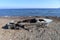 Shipwreck at Lesvos Greece