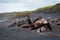 Shipwreck on Patea Beach