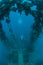Shipwreck and Scuba Diver in Palau
