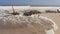 A shipwreck in the Skeleton Coast National Park in Namibia