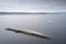 Shipwreck sugar boat at sea on the River Clyde viewed from Greenock Scotland