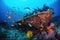 shipwreck surrounded by fish and schools of colorful tropical reef fish
