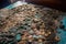 shipwreck treasure trove with a vast array of artifacts and coins