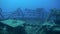 Shipwreck underwater in Red Sea Egypt.