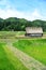 Shirakawa Farming