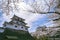 Shiroishi castle with Cherry blossoms and blue sky