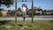 Shirtless young man working out outdoor