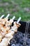 Shish kebab made from marinated chicken and cooked on barbecue grill over charcoal. Traditional barbecue picnic food. Outdoor food