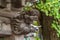 Shishi Lion and Baku (dream Eater), Bakuhana or Zoubana Tapir Nosing wooden carved guardian of Hiruko Jinja or Ebisu Jinja shinto