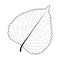 Shiso leaf vector graphics