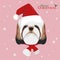 Shitzu dog with red Santa`s hat
