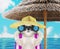 Shitzu dog sunbathing on a beach chair and looking through binoculars. 3d render