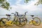 Shkodra, Albania - August 7 2022: Several of rental bikes on the shore of Lake Skadar. Rent of modern bicycles. The sharing of eco