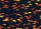 Shoal of multicolored fish pattern