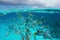 Shoal of tropical fish underwater with cloudy sky