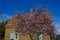 Shober House in Historic Old Salem