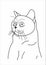 shocked cat illustration