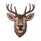 Shocked Deer Face Sticker On Isolated Tansparent Background, Png, Logo. Generative AI