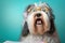 Shocked old english sheepdog dog in glasses with surprised eyes counting taxes, created with Generative AI technology