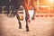 The shod hooves of a galloping bay horse step on the sand of an outdoor arena at equestrian competitions. Equestrian sports