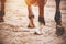 Shod hooves of a sorrel racehorse close-up, illuminated by sunlight