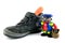 A shoe with carrot and black piet