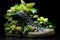 A shoe that considers its carbon emissions, incorporating green features