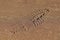 Shoe footprint on wet sand texture