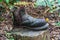 Shoe garden planter made of old work boot.Growing Plants In Shoe