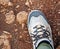 Shoe hiking along a trail stones