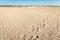 Shoe prints in the Dutch National Park Loonse en Drunense Duinen