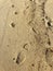 Shoe prints on the sand of the beach in Sarti, Greece