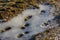 Shoe prints on winter land of the Orkney Islands