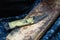 Shoe repair. Old sharp knife lying on a wooden table. Working place of a shoemaker closeup. Wooden background