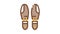 Shoe Sole Detail Icon Animation