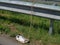 Shoe tied to the guard rail